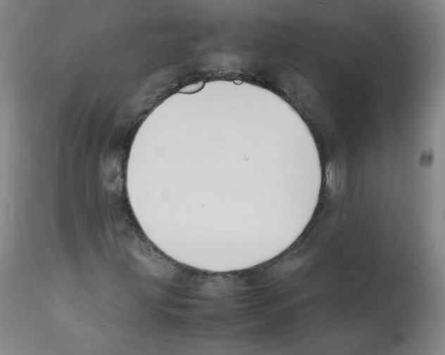 X0000112071203200909151040
