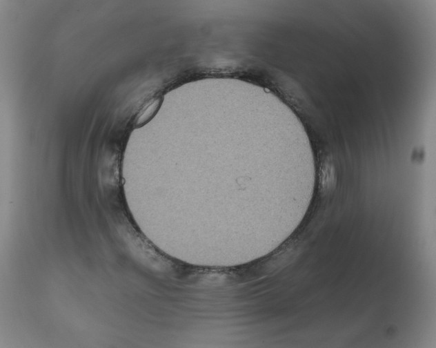 X0000112071204200909151040