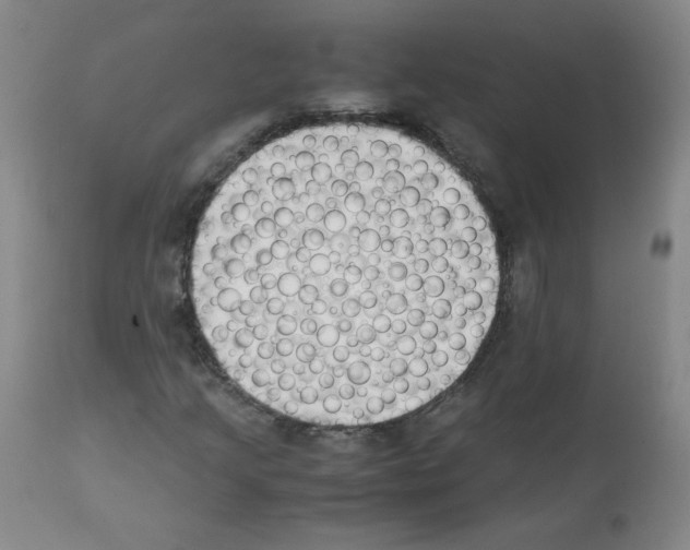 X0000112071205200909151040