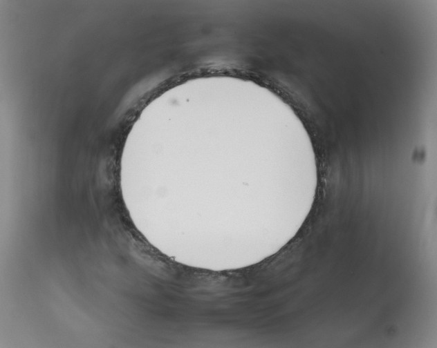 X0000112071207200909151040