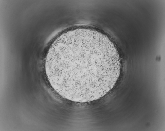 X0000112071208200909151040