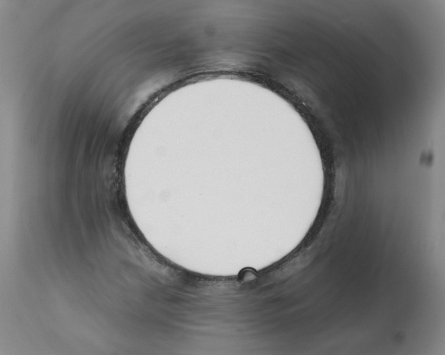 X0000112071210200909151040