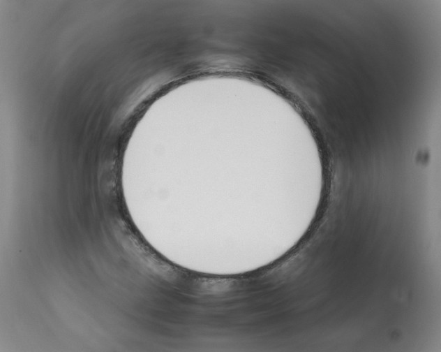 X0000112071211200909151040
