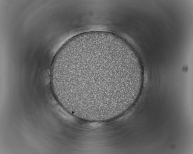 X0000112071212200909151041
