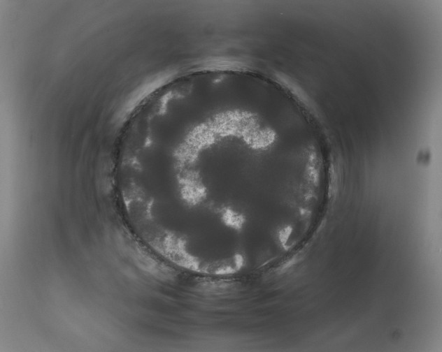 X0000112071213200909151041