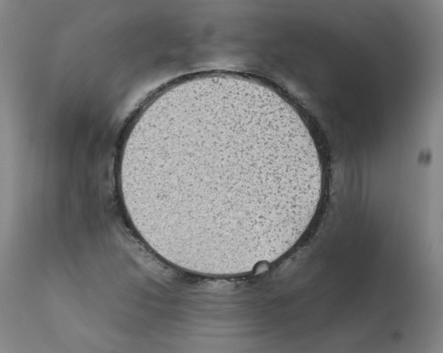 X0000112071214200909151041