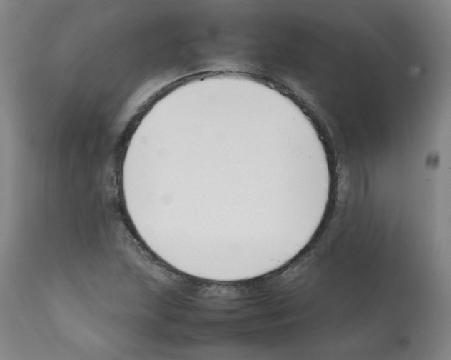 X0000112071215200909151041