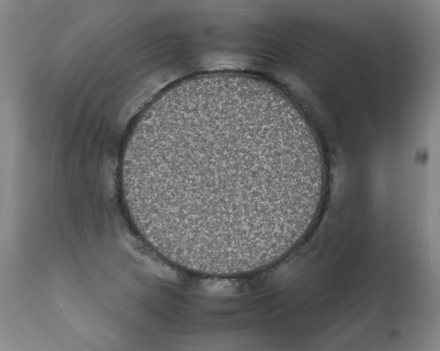 X0000112071217200909151041