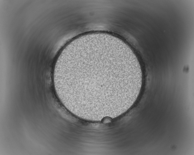 X0000112071218200909151041