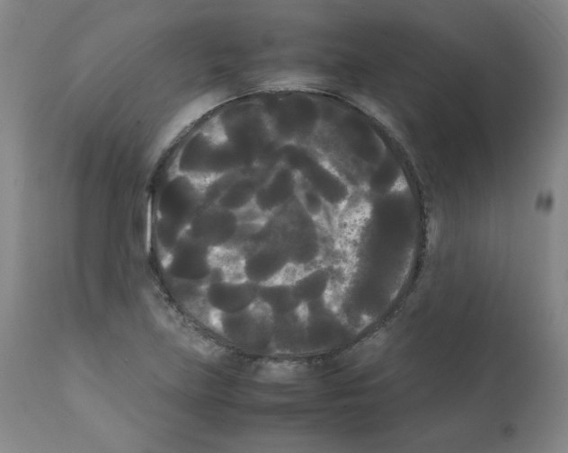 X0000112071219200909151041