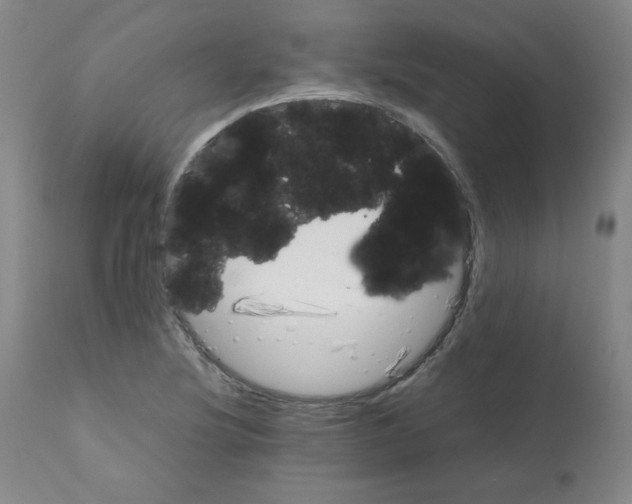 X0000112071220200909151041