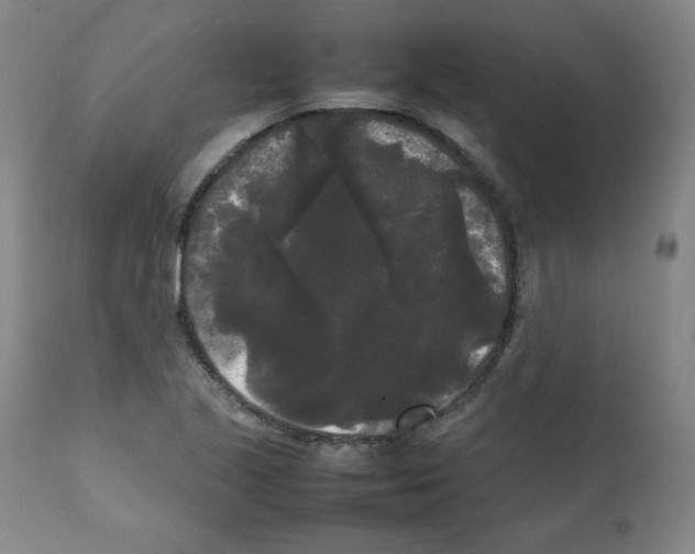 X0000112071221200909151041