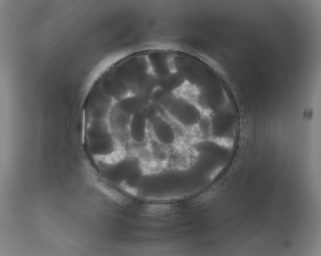 X0000112071223200909151041