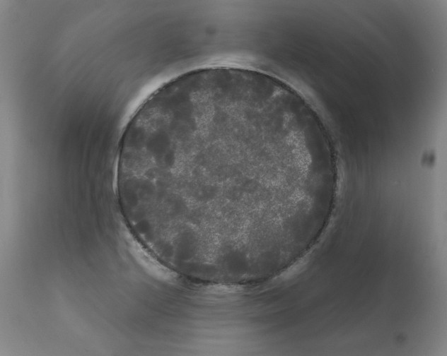 X0000112071224200909151041