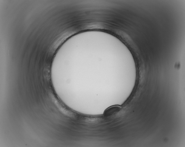 X0000112071225200909151041