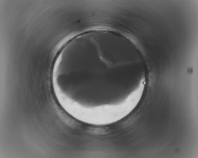 X0000112071229200909151041