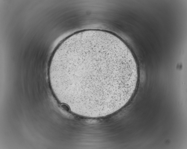 X0000112071230200909151041