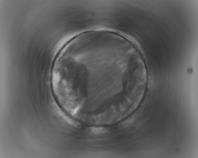 X0000112071231200909151041