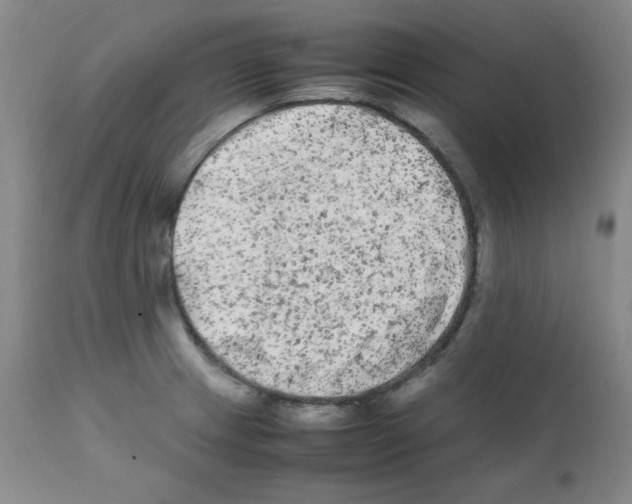 X0000112071233200909151041