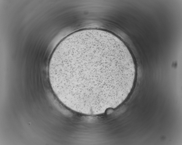 X0000112071234200909151041