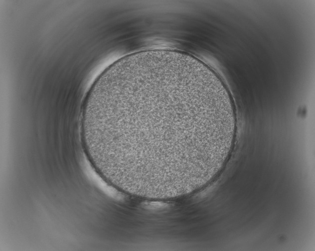 X0000112071235200909151041