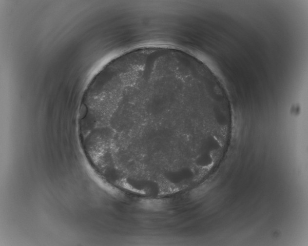X0000112071237200909151041