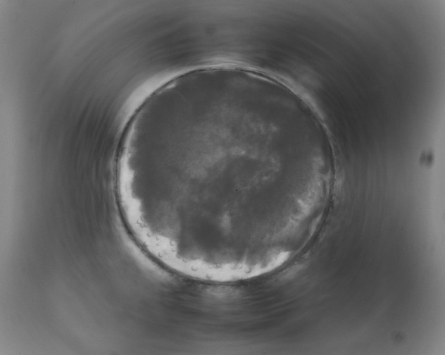 X0000112071239200909151041