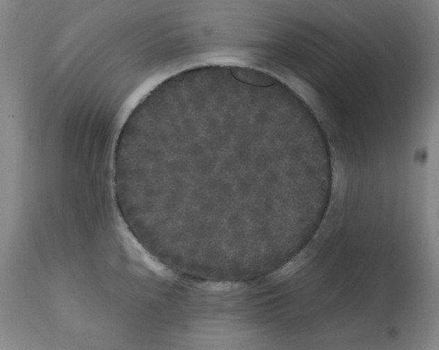 X0000112071240200909151041