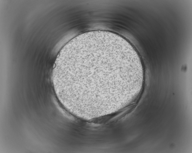 X0000112071241200909151041