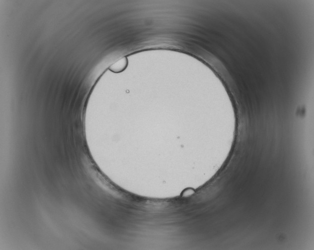 X0000112071242200909151041