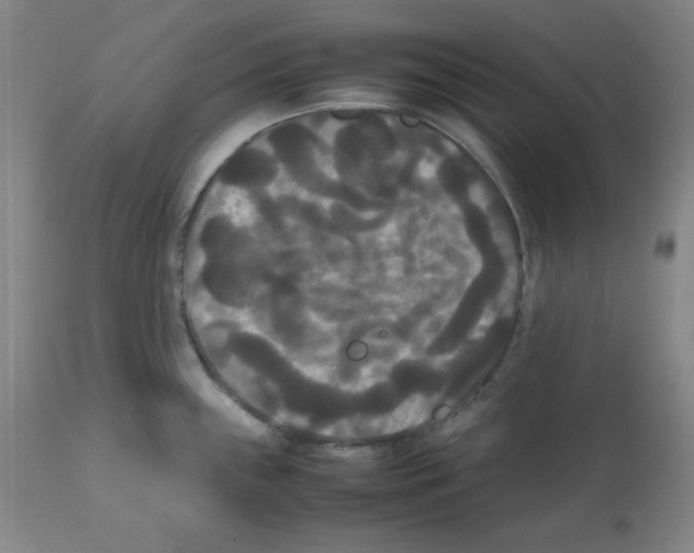 X0000112071243200909151041