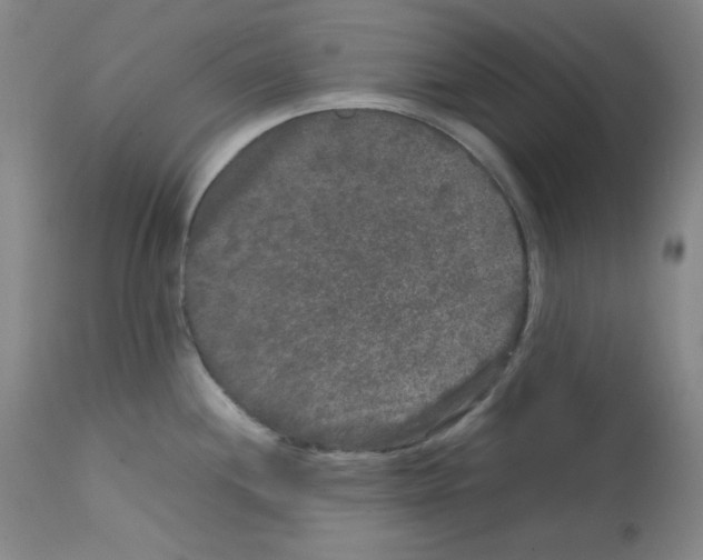 X0000112071244200909151041