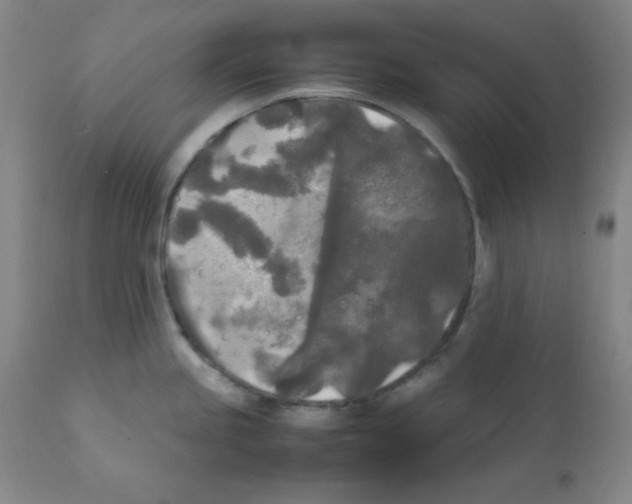 X0000112071245200909151041
