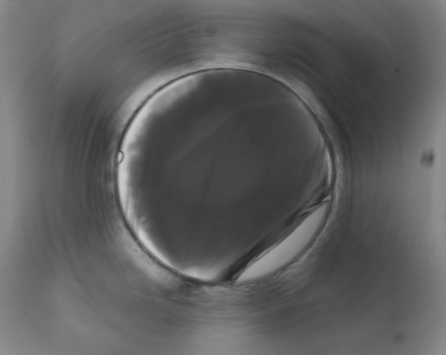 X0000112071246200909151041