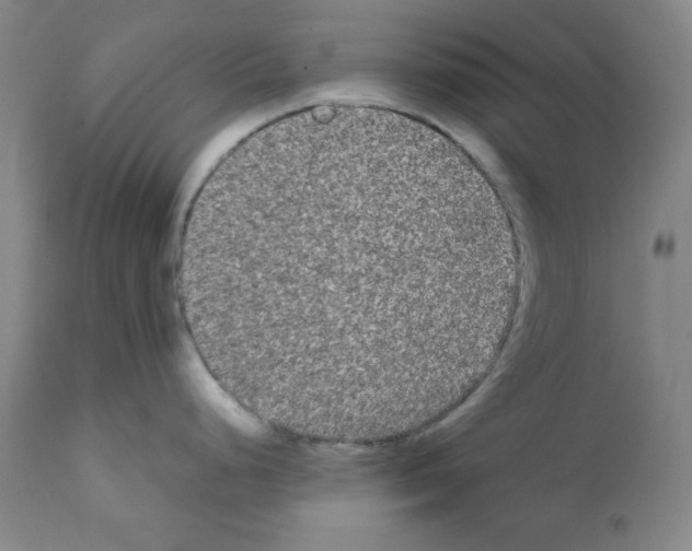 X0000112071248200909151041