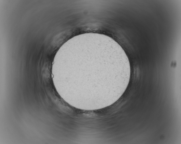 X0000112071250200909151040