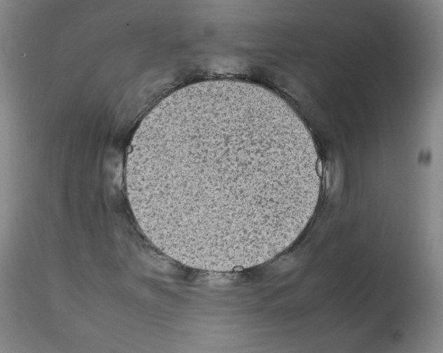 X0000112071251200909151040