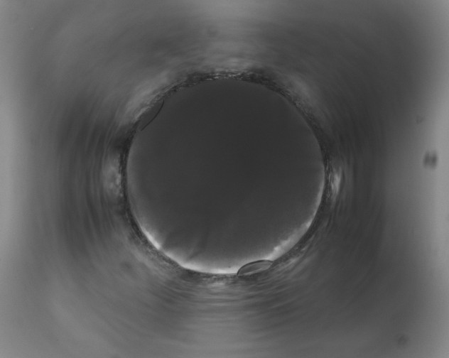 X0000112071252200909151040