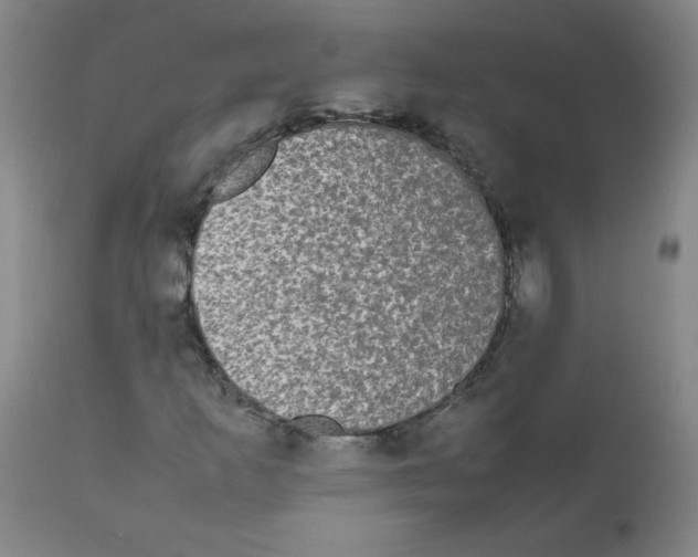 X0000112071253200909151040