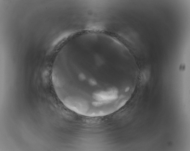 X0000112071254200909151040