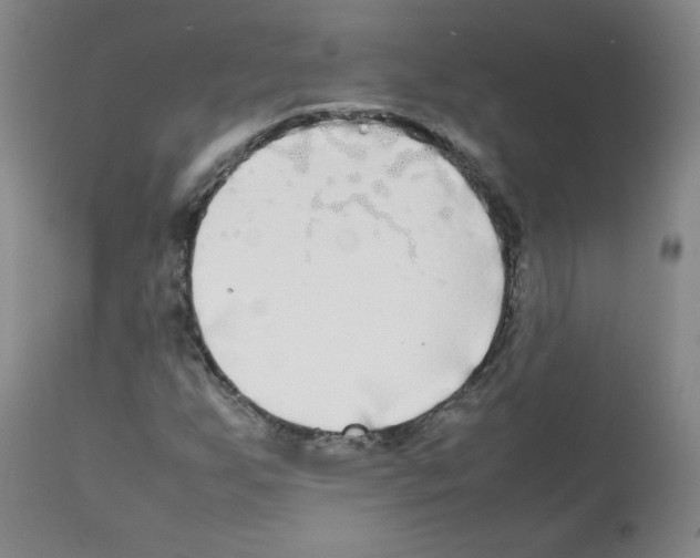 X0000112071255200909151040