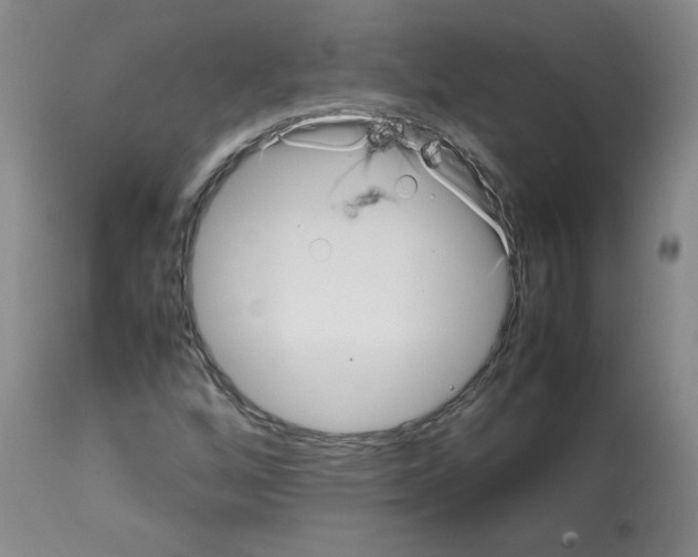 X0000112071256200909151040