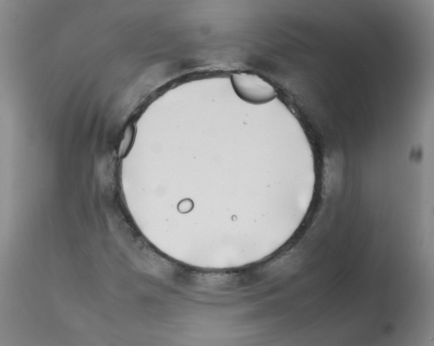 X0000112071257200909151040