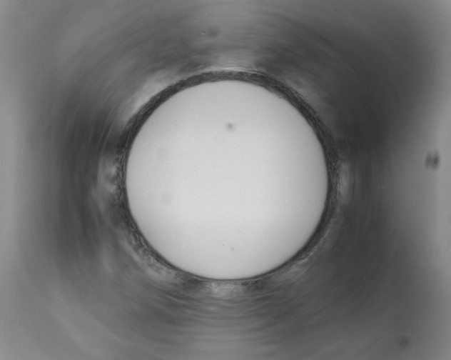X0000112071258200909151040