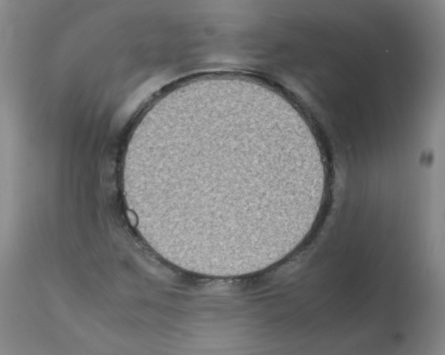 X0000112071259200909151040