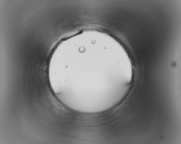 X0000112071260200909151040