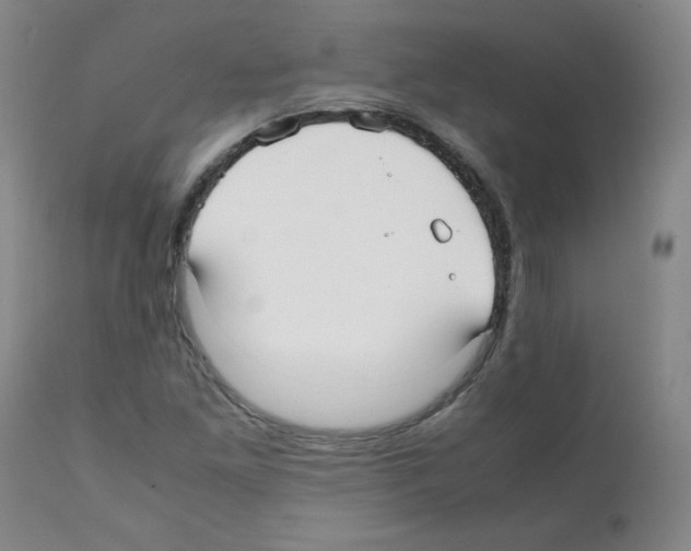 X0000112071261200909151040