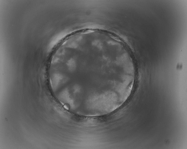 X0000112071263200909151040