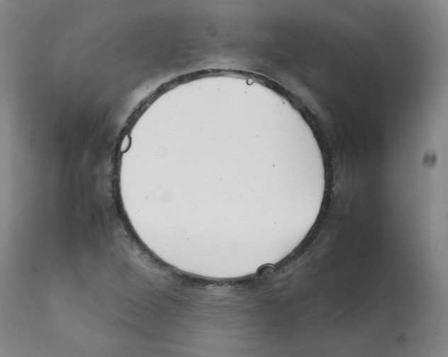 X0000112071264200909151040