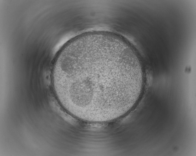X0000112071266200909151040